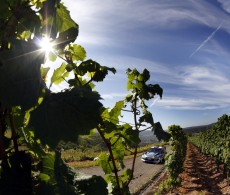 WRC 2012 - Rallye Deutschland