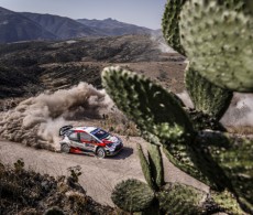 2020 WRC - Rally Mexico - S. Ogier / J. Ingrassia