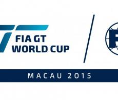 fia gt world cup