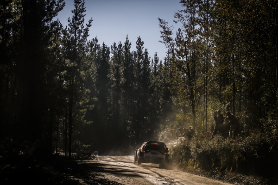 2019 Rally Chile - O. Tänak / M. Järveoja