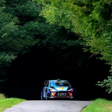 WRC, Rallye Deutschland, FIA, motorsport