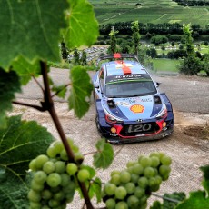 WRC, Rallye Deutschland, FIA, motorsport