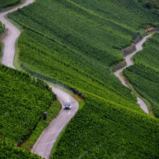 WRC, Rallye Deutschland, FIA, motorsport