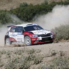 ERC, Acropolis Rally, FIA, motorsport