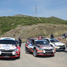 ERC, Acropolis Rally, FIA, motorsport