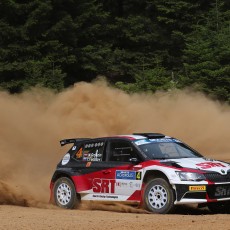 ERC, Acropolis Rally, FIA, motorsport