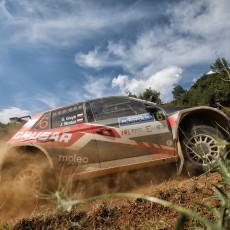 ERC, Acropolis Rally, FIA, motorsport