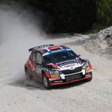 ERC, Acropolis Rally, FIA, motorsport