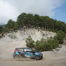 ERC, Acropolis Rally, FIA, motorsport