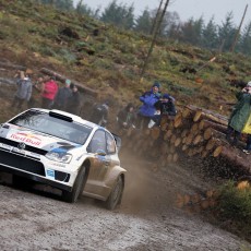 WRC 2013 - Wales Rally GB