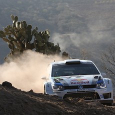 WRC 2013 - Rally Mexico