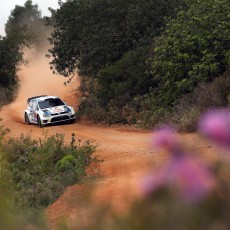 WRC 2013 - Rally de Portugal