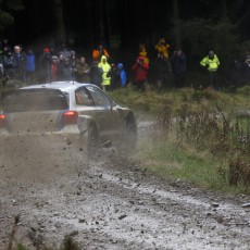 WRC 2013 - Wales Rally GB