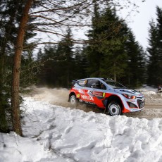 WRC 2014 - Rally Sweden