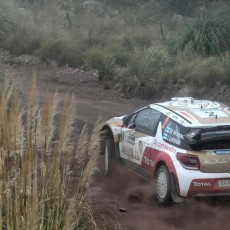 WRC 2013 - Rally Argentina