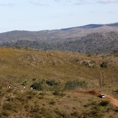 WRC 2013 - Rally Argentina