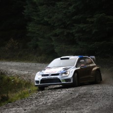 WRC 2013 - Wales Rally GB