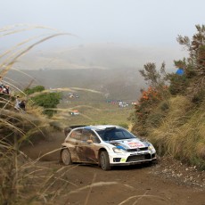 WRC 2013 - Rally Argentina