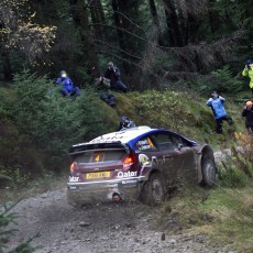 WRC 2013 - Wales Rally GB