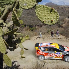 WRC 2013 - Rally Mexico