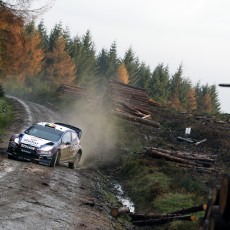 WRC 2013 - Wales Rally GB