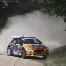 ERC 2014 - Rally Estonia