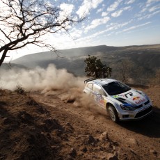 WRC 2013 - Rally Mexico