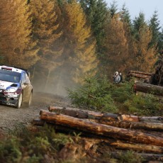 WRC 2013 - Wales Rally GB