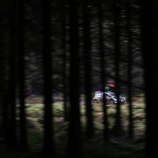 WRC 2013 - Wales Rally GB