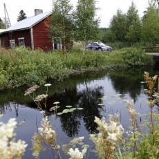 WRC 2012 - Rally Finland