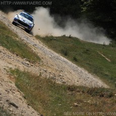 ERC 2013 - Sibiu Rally