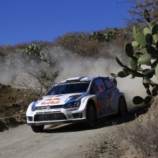 WRC 2014 - Rally Mexico