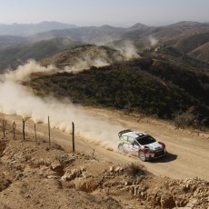 WRC 2014 - Rally Mexico