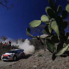 WRC 2014 - Rally Mexico