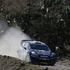 WRC 2014 - Rally Mexico