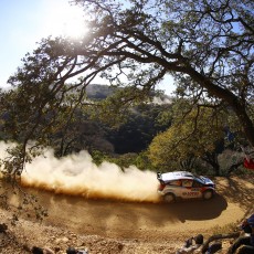 WRC 2014 - Rally Mexico