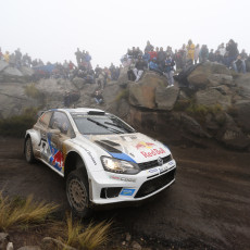 WRC 2014 - Rally Argentina