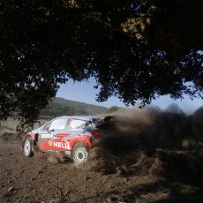 WRC 2014 - Rally Italia Sardegna