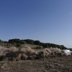 WRC 2014 - Rally Italia Sardegna