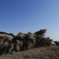 WRC 2014 - Rally Italia Sardegna