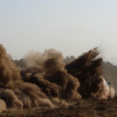 WRC 2014 - Rally Italia Sardegna