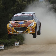 WRC 2014 - Rally Italia Sardegna