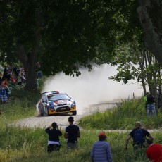 WRC 2014 - Lotos Rally Poland