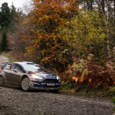 WRC 2014 - Wales Rally GB