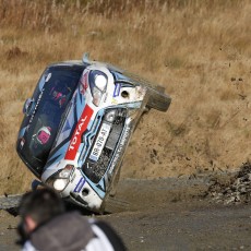 WRC 2014 - Wales Rally GB