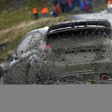 WRC 2014 - Wales Rally GB