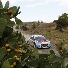 ERC 2014 - Cyprus Rally Gallery