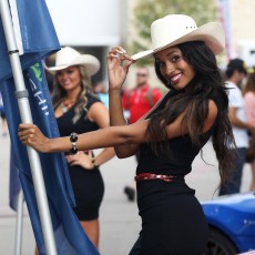 WEC 2014 - 6 Hours of Circuit of the Americas Gallery