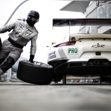 WEC 2014 - 6 Hours of Fuji Gallery