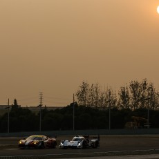 2014 WEC 6 Hours of Shanghai - Gallery